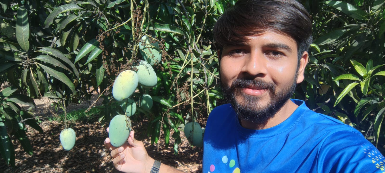 Gir Amrut Kesar Farms owner with mangoes