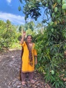 Farm harvest moment